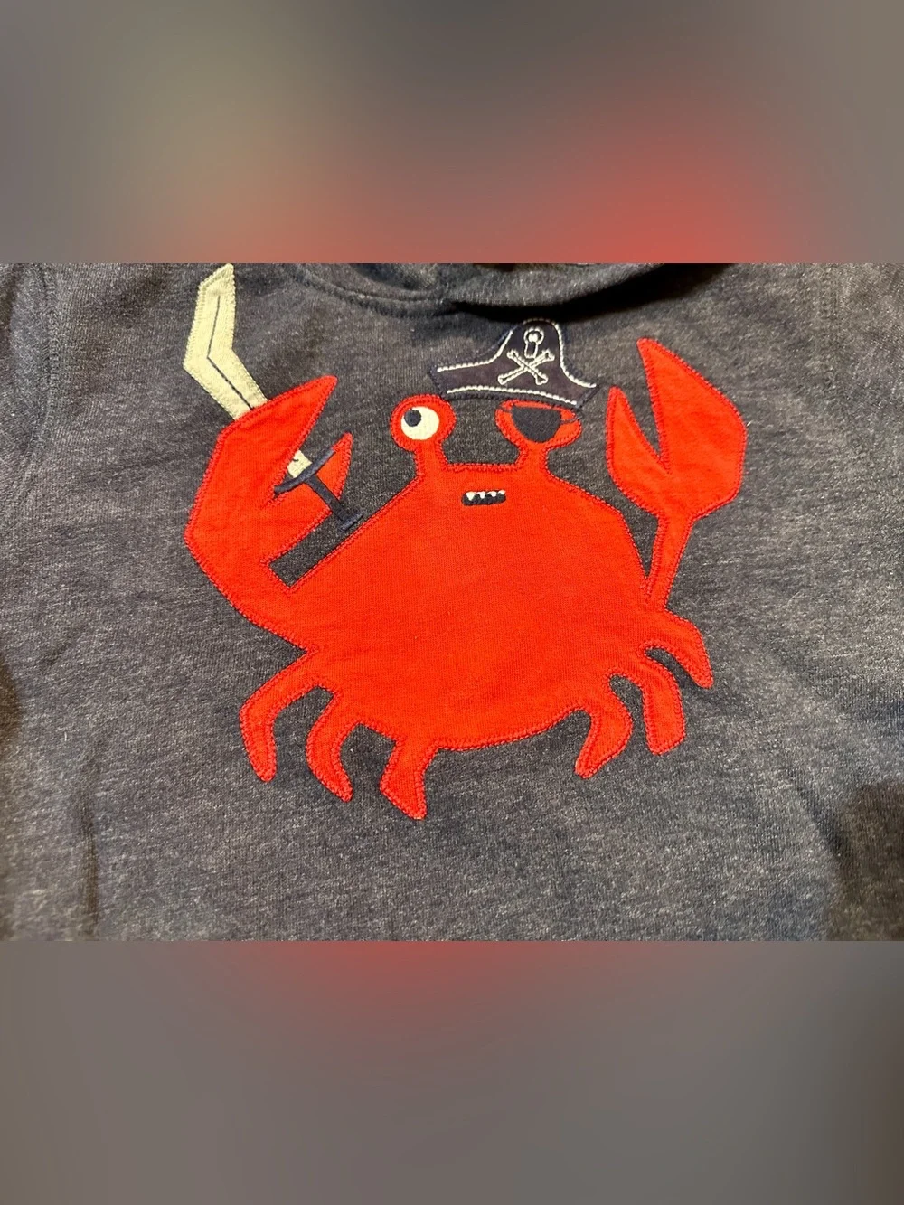Gymboree Navy Hoodie with Bright Red Crab Graphic